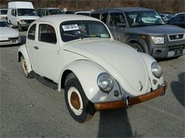 1962 Volkswagen Beetle (CC-958512) for sale in Online, No state