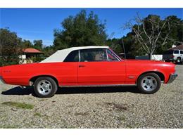1964 Pontiac LeMans (CC-959378) for sale in Santa Ynez, California