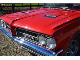 1964 Pontiac LeMans (CC-959378) for sale in Santa Ynez, California