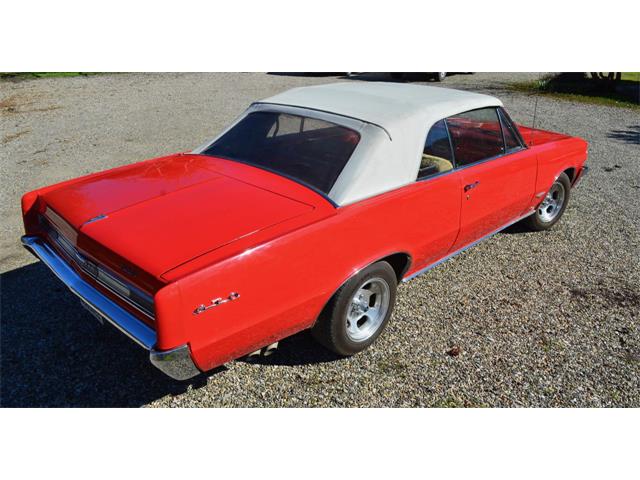 1964 Pontiac LeMans (CC-959378) for sale in Santa Ynez, California