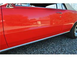1964 Pontiac LeMans (CC-959378) for sale in Santa Ynez, California