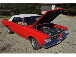 1964 Pontiac LeMans (CC-959378) for sale in Santa Ynez, California