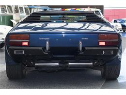 1974 Lamborghini Urraco P250 (CC-959425) for sale in Gosford, NSW