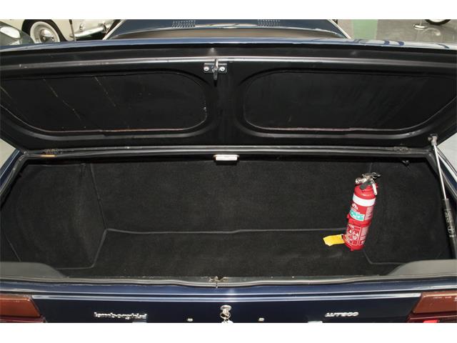 1974 Lamborghini Urraco P250 (CC-959425) for sale in Gosford, NSW