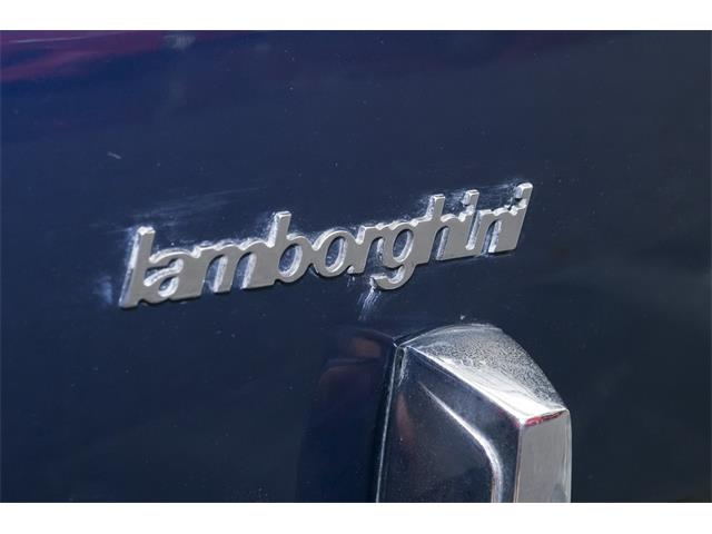 1974 Lamborghini Urraco P250 (CC-959425) for sale in Gosford, NSW
