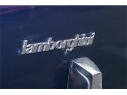 1974 Lamborghini Urraco P250 (CC-959425) for sale in Gosford, NSW