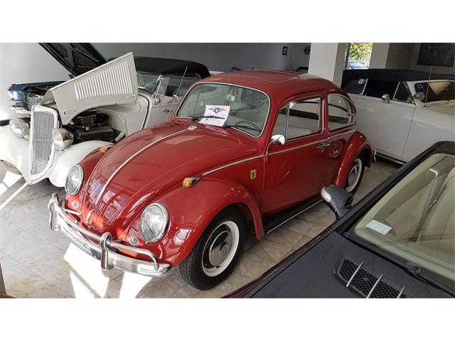 1966 Volkswagen Beetle (CC-959631) for sale in Pompano Beach, Florida
