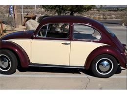 1968 Volkswagen Beetle (CC-960013) for sale in Valley Center, California