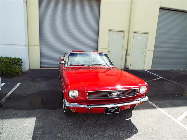 1966 Ford Mustang (CC-962415) for sale in west palm beach, Florida