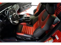 2006 Ford Mustang Roush Stage 3 (CC-962778) for sale in Solon, Ohio