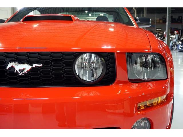 2006 Ford Mustang Roush Stage 3 (CC-962778) for sale in Solon, Ohio