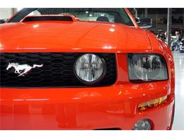 2006 Ford Mustang Roush Stage 3 (CC-962778) for sale in Solon, Ohio