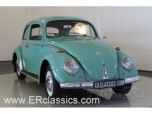 1961 Volkswagen Beetle (CC-962865) for sale in Waalwijk, Noord-Brabant