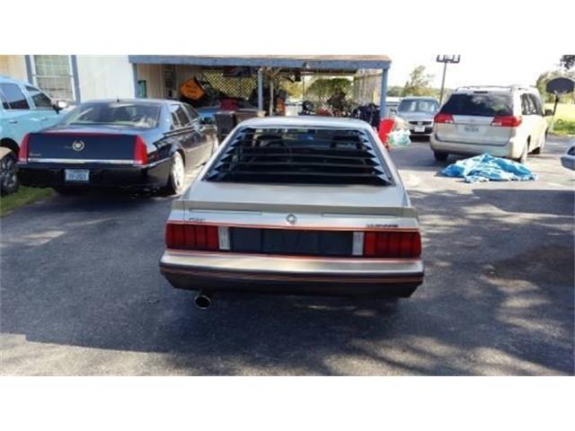 1979 Ford Mustang Indy Pace Car (CC-964249) for sale in San Antonio, Texas