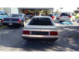 1979 Ford Mustang Indy Pace Car (CC-964249) for sale in San Antonio, Texas
