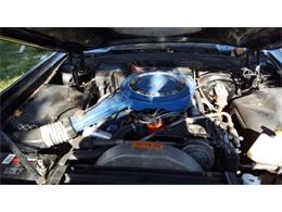 1979 Ford Mustang Indy Pace Car (CC-964249) for sale in San Antonio, Texas