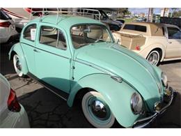 1962 Volkswagen Beetle (CC-964314) for sale in San Antonio, Texas