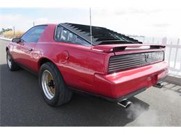 1984 Pontiac Firebird Trans Am (CC-965000) for sale in Milford City, Connecticut