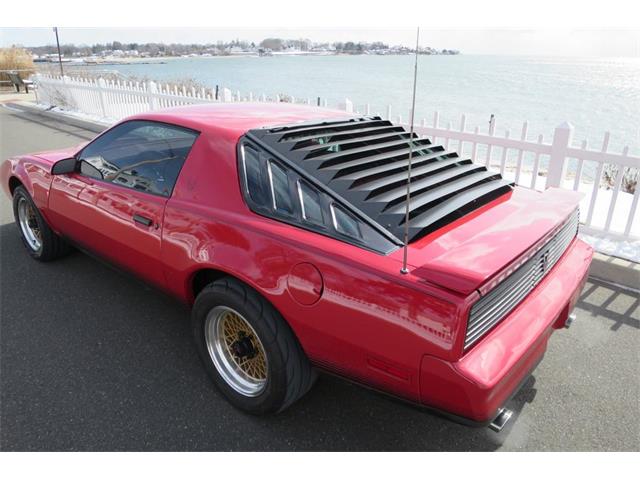 1984 Pontiac Firebird Trans Am (CC-965000) for sale in Milford City, Connecticut