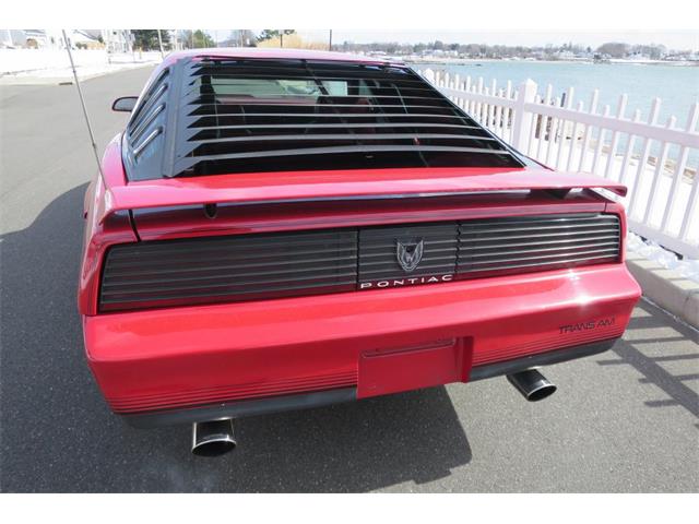 1984 Pontiac Firebird Trans Am (CC-965000) for sale in Milford City, Connecticut