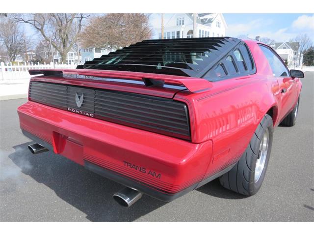 1984 Pontiac Firebird Trans Am (CC-965000) for sale in Milford City, Connecticut