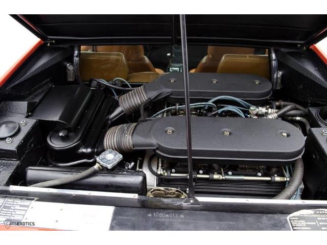 1976 Lamborghini Urraco P250 (CC-965095) for sale in Seattle, Washington
