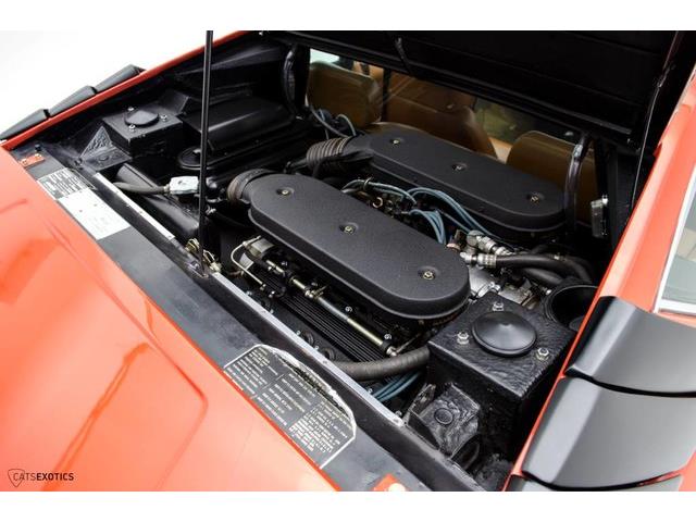 1976 Lamborghini Urraco P250 (CC-965095) for sale in Seattle, Washington