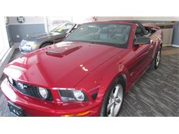 2008 Ford Mustang GT/CS (California Special) (CC-965219) for sale in Chatsworth, Ontario