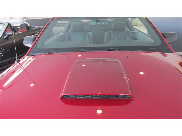 2008 Ford Mustang GT/CS (California Special) (CC-965219) for sale in Chatsworth, Ontario