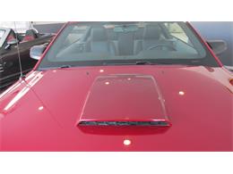 2008 Ford Mustang GT/CS (California Special) (CC-965219) for sale in Chatsworth, Ontario