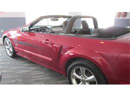 2008 Ford Mustang GT/CS (California Special) (CC-965219) for sale in Chatsworth, Ontario