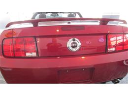 2008 Ford Mustang GT/CS (California Special) (CC-965219) for sale in Chatsworth, Ontario