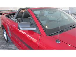 2008 Ford Mustang GT/CS (California Special) (CC-965219) for sale in Chatsworth, Ontario