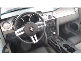 2008 Ford Mustang GT/CS (California Special) (CC-965219) for sale in Chatsworth, Ontario