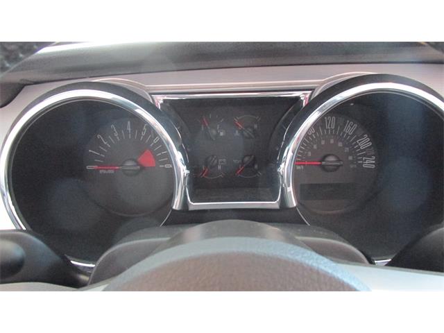 2008 Ford Mustang GT/CS (California Special) (CC-965219) for sale in Chatsworth, Ontario