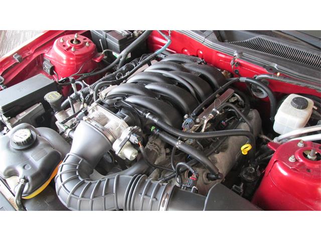 2008 Ford Mustang GT/CS (California Special) (CC-965219) for sale in Chatsworth, Ontario