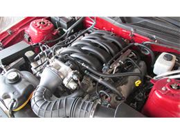 2008 Ford Mustang GT/CS (California Special) (CC-965219) for sale in Chatsworth, Ontario