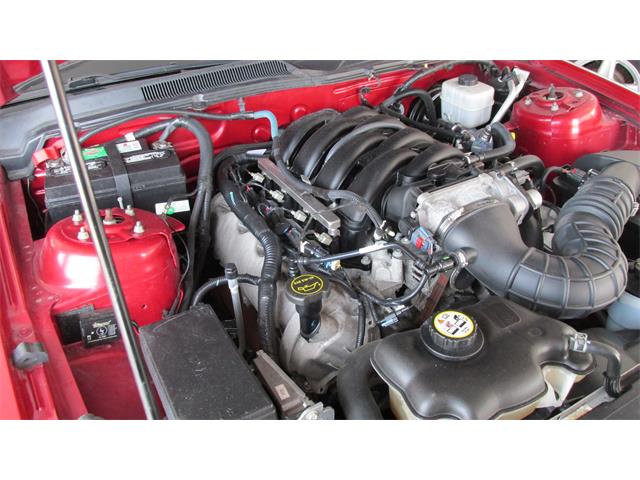2008 Ford Mustang GT/CS (California Special) (CC-965219) for sale in Chatsworth, Ontario