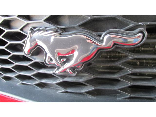 2008 Ford Mustang GT/CS (California Special) (CC-965219) for sale in Chatsworth, Ontario