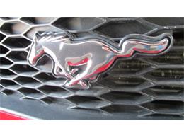 2008 Ford Mustang GT/CS (California Special) (CC-965219) for sale in Chatsworth, Ontario