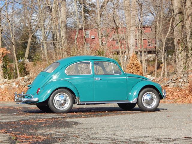 1966 Volkswagen Beetle For Sale Cc 965222 