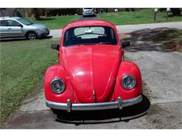 1967 Volkswagen Beetle (CC-965269) for sale in West Palm Beach, Florida