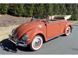 1956 Volkswagen Beetle (CC-965321) for sale in West Palm Beach, Florida