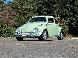 1956 Volkswagen Beetle (CC-965603) for sale in Bridgeport, Connecticut