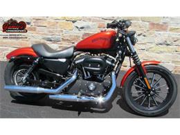 2013 Harley-Davidson XL883N - Sportster Iron 883™ (CC-965793) for sale in Big Bend, Wisconsin