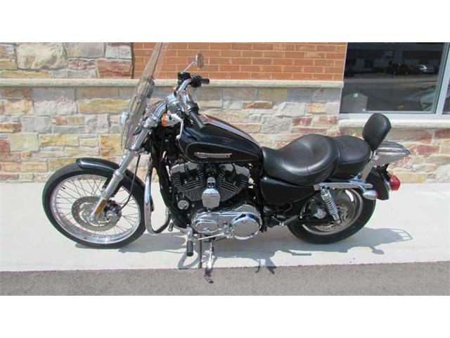 2009 Harley-Davidson XL1200C - Sportster 1200 Custom (CC-965823) for sale in Big Bend, Wisconsin
