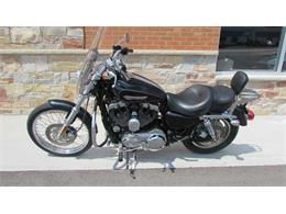 2009 Harley-Davidson XL1200C - Sportster 1200 Custom (CC-965823) for sale in Big Bend, Wisconsin