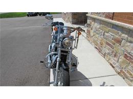 2009 Harley-Davidson XL1200C - Sportster 1200 Custom (CC-965823) for sale in Big Bend, Wisconsin