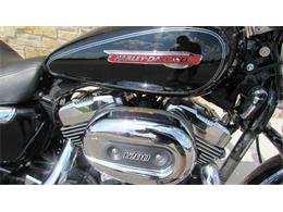 2009 Harley-Davidson XL1200C - Sportster 1200 Custom (CC-965823) for sale in Big Bend, Wisconsin