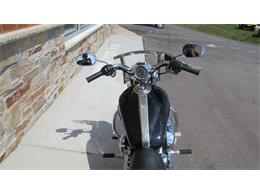 2009 Harley-Davidson XL1200C - Sportster 1200 Custom (CC-965823) for sale in Big Bend, Wisconsin